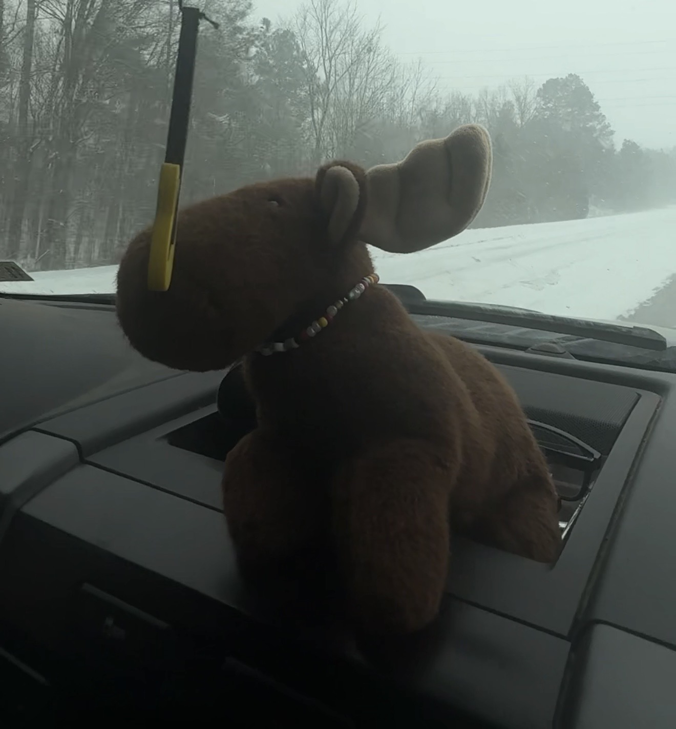Stuffed Animal