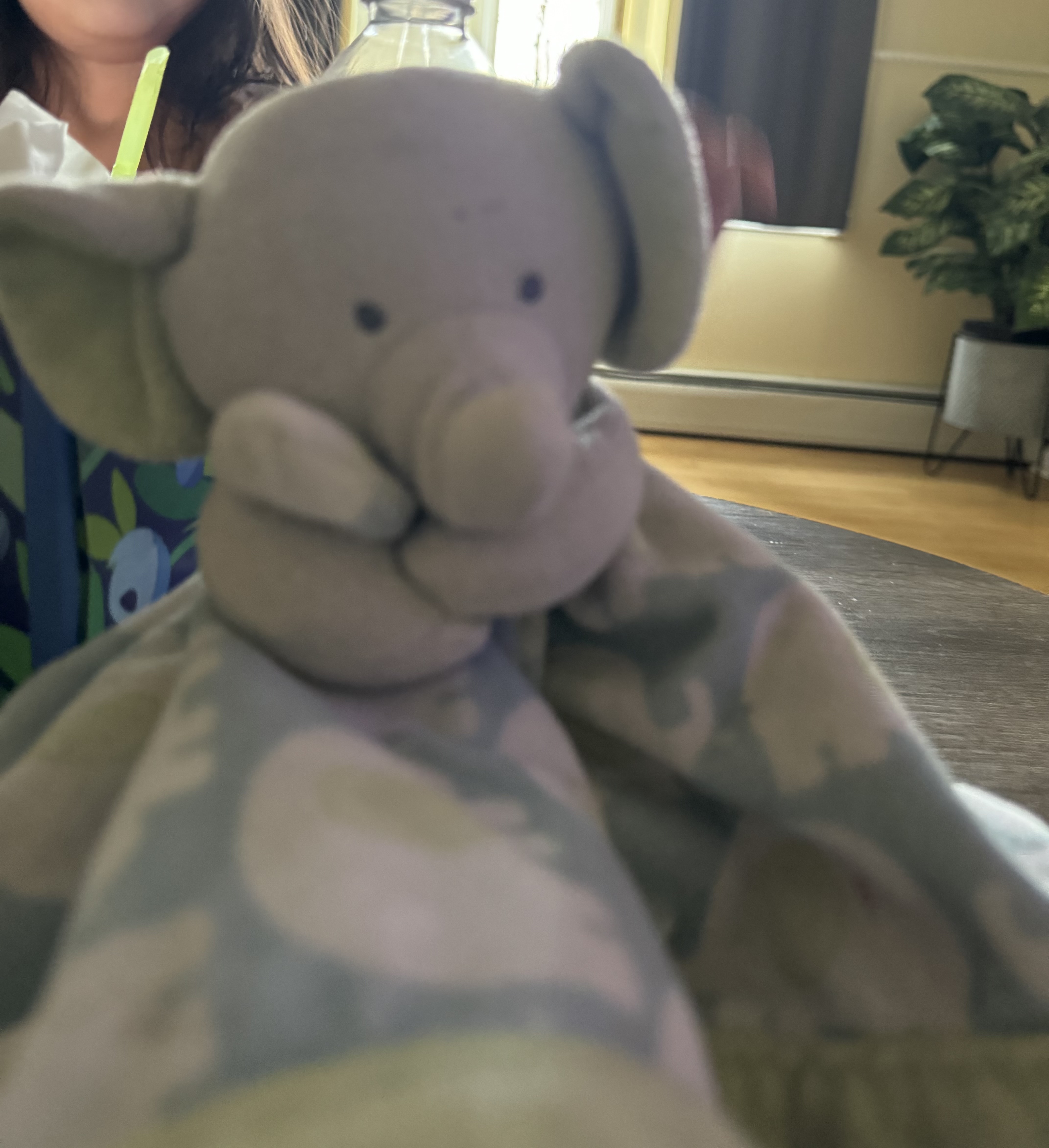 Stuffed toy
