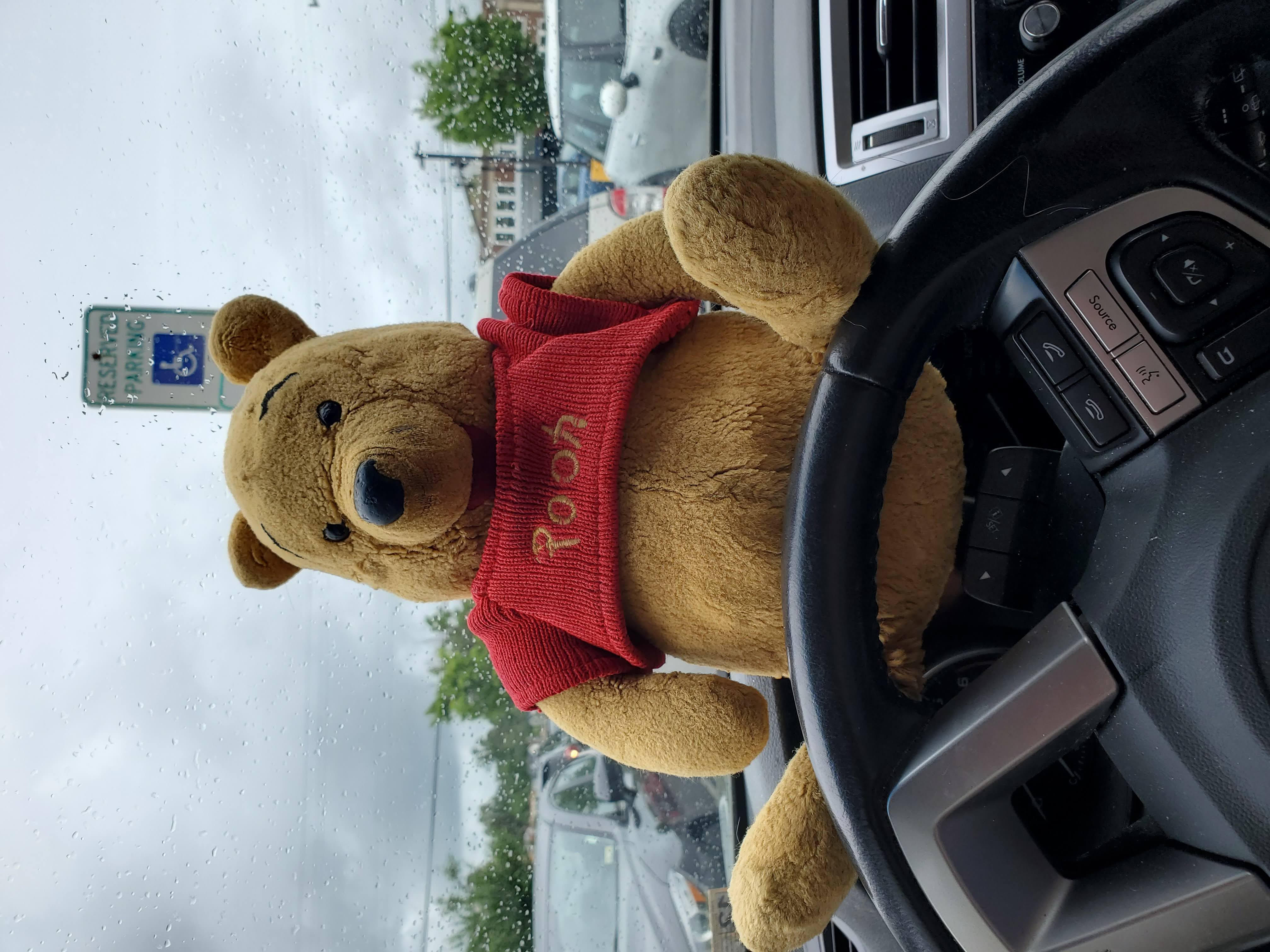 Teddy bear