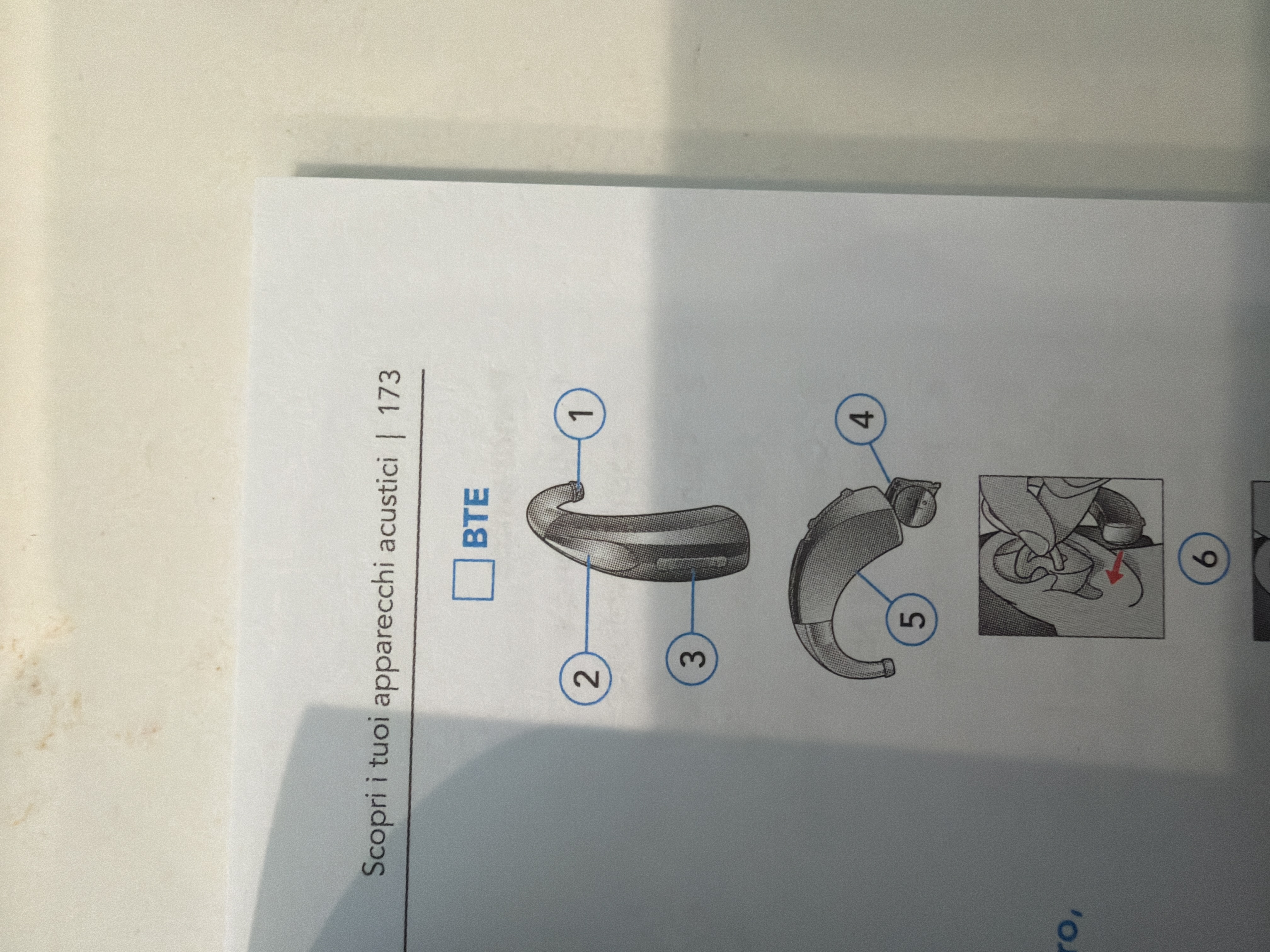 Hearing aid